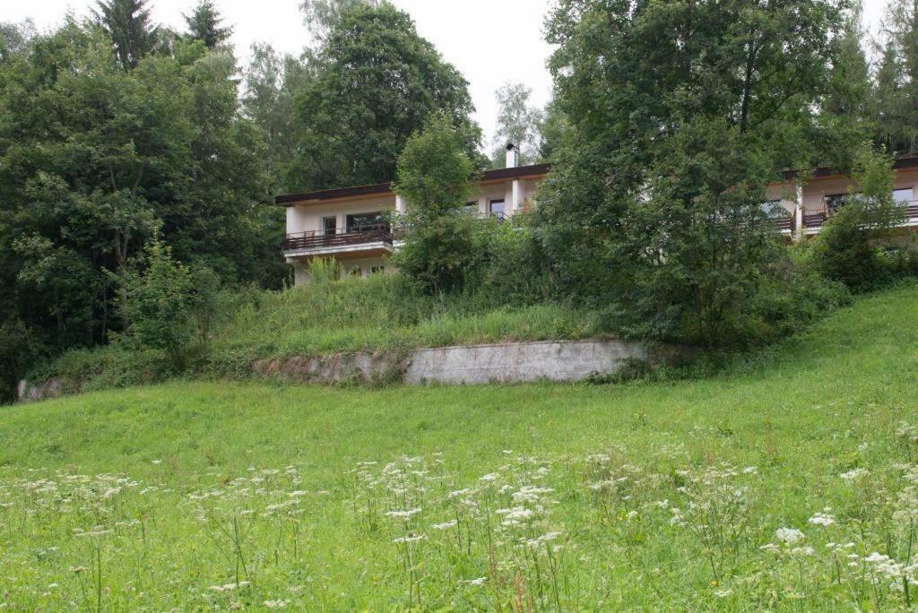 Appartamento Birkenhof - Schimek Bürserberg Esterno foto